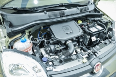 FIAT PANDA 1.0 Hybrid 70CV Firefly City 29