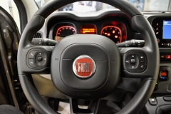 FIAT PANDA 1.0 Hybrid 70CV Firefly City 43