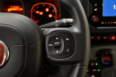 FIAT PANDA 1.0 Hybrid 70CV Firefly City 45