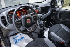 PANDA HYBRID IBRIDA USATA KM0 MATERA 35
