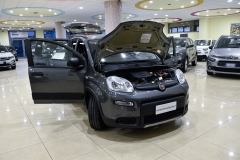 PANDA HYBRID IBRIDA USATA KM0 MATERA 9