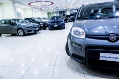 FIAT PANDA HYBRID FIRE FLY KM0 USATA 19