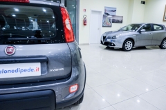 FIAT PANDA HYBRID FIRE FLY KM0 USATA 28