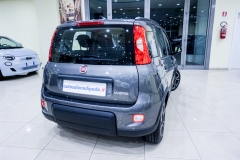 FIAT PANDA HYBRID FIRE FLY KM0 USATA 4