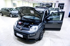 FIAT PANDA HYBRID FIRE FLY KM0 USATA 7