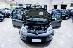 FIAT PANDA HYBRID FIRE FLY KM0 USATA 8