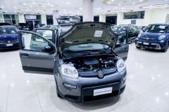 FIAT PANDA HYBRID FIRE FLY KM0 USATA 9