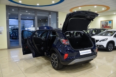 FORD PUMA 1.0 Hybrid 125CV Ecoboost Titanium 12