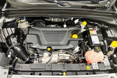 JEEP RENEGADE 1600 DIESEL USATA KM0 MATERA 30
