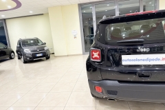 JEEP RENEGADE 1600 DIESEL USATA MATERA 33