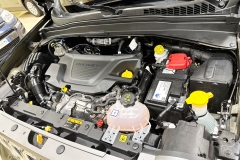JEEP RENEGADE 1600 DIESEL USATA MATERA 48