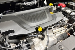 JEEP RENEGADE 1600 DIESEL USATA MATERA 49