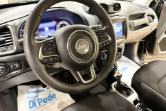 JEEP RENEGADE 1600 DIESEL USATA MATERA 53