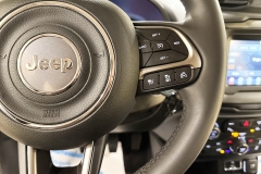 JEEP RENEGADE 1600 DIESEL USATA MATERA 59