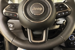JEEP RENEGADE 1600 DIESEL USATA MATERA 60