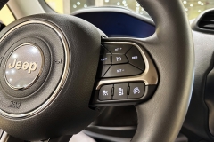 JEEP RENEGADE 1600 DIESEL USATA MATERA 60A