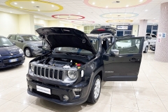 JEEP RENEGADE 1600 DIESEL USATA MATERA 7