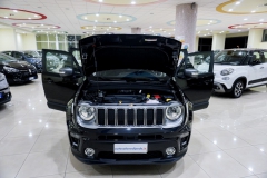 JEEP RENEGADE 1600 130cv LIMITED 2021 8
