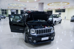 JEEP RENEGADE 1600 130cv LIMITED 2021 9