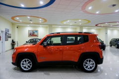 JEEP RENEGADE LIMITED USATA 13