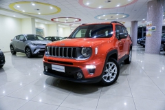 JEEP RENEGADE LIMITED USATA 16