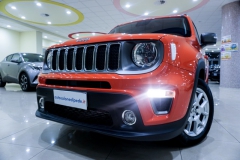 JEEP RENEGADE LIMITED USATA 17