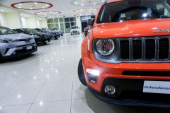 JEEP RENEGADE LIMITED USATA 19