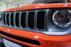 JEEP RENEGADE LIMITED USATA 23