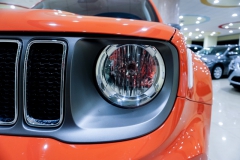 JEEP RENEGADE LIMITED USATA 24