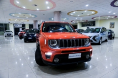 JEEP RENEGADE LIMITED USATA 3