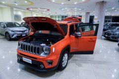 JEEP RENEGADE LIMITED USATA 7