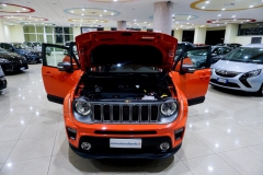 JEEP RENEGADE LIMITED USATA 8