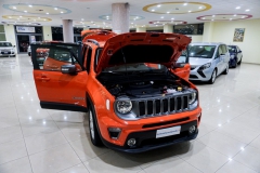 JEEP RENEGADE LIMITED USATA 9