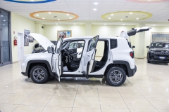 JEEP RENEGADE 1.0T3 120CV Longitude 13
