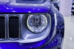 JEEP RENEGADE 1.6 MJT 130CV Limited 22