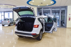 SEAT ATECA 1.6 DIESEL USATA MATERA 10