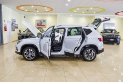 SEAT ATECA 1.6 DIESEL USATA MATERA 14