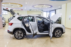 SEAT ATECA 1.6 DIESEL USATA MATERA 16