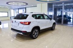 SEAT ATECA 1.6 DIESEL USATA MATERA 18