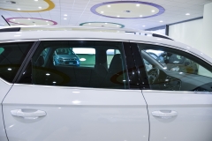 SEAT ATECA 1.6 DIESEL USATA MATERA 33