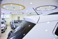 SEAT ATECA 1.6 DIESEL USATA MATERA 34