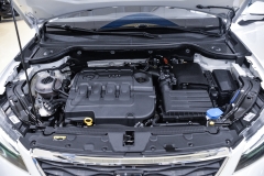 SEAT ATECA 1.6 DIESEL USATA MATERA 37