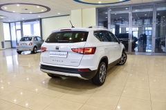 SEAT ATECA 1.6 DIESEL USATA MATERA 4