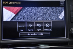 SEAT ATECA 1.6 DIESEL USATA MATERA 64