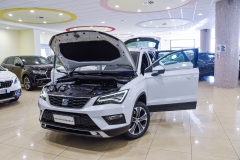 SEAT ATECA 1.6 DIESEL USATA MATERA 7