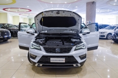 SEAT ATECA 1.6 DIESEL USATA MATERA 8