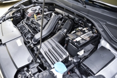 VOLKSWAGEN T-ROC 1.5 TSI 150CV Life 32