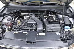 VOLKSWAGEN T-ROC 1.5 TSI 150CV Life 33