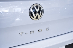 VOLKSWAGEN T-ROC 1.6 TDI 115CV SCR Business BMT SPORT utility 29