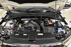 VOLKSWAGEN T-ROC USATA KM0 MATERA 32